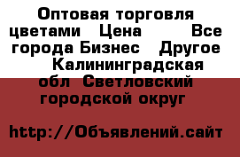 Оптовая торговля цветами › Цена ­ 25 - Все города Бизнес » Другое   . Калининградская обл.,Светловский городской округ 